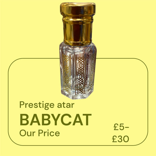 babycat inspired by ysl babycat